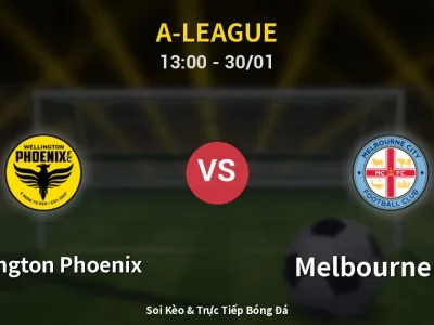 Kết Quả: Wellington Phoenix 2-2 Melbourne City – Highlight & Bàn Thắng | A-League
