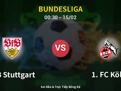 Kết Quả: VfB Stuttgart 3-1 1. FC Köln – Highlight & Bàn Thắng | Bundesliga