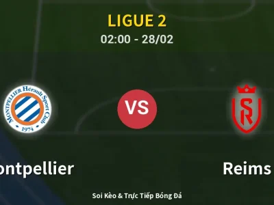 Kết Quả: Montpellier 0-0 Reims – Highlight & Bàn Thắng | Ligue 2