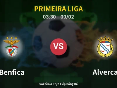 Kết Quả: Benfica 2-1 Alverca – Highlight & Bàn Thắng | Primeira Liga