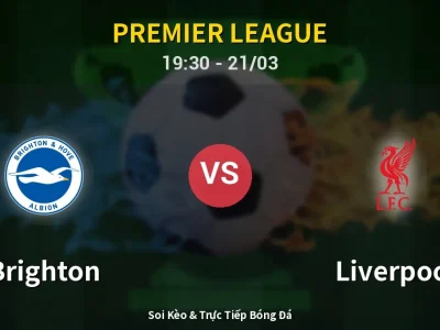 🔴 Trực Tiếp: Brighton 2-1 Liverpool – Link Xem Premier League (Full HD)