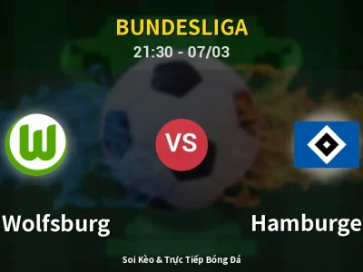 🔴 Trực Tiếp: VfL Wolfsburg 0-0 Hamburger SV – Link Xem Bundesliga (Full HD)