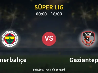 Kết Quả: Fenerbahçe 4-1 Gaziantep FK – Highlight & Bàn Thắng | Süper Lig