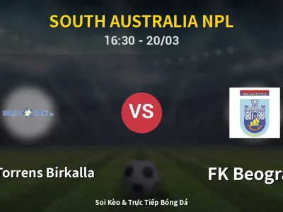 Kết Quả: West Torrens Birkalla 2-1 FK Beograd – Highlight & Bàn Thắng | South Australia NPL