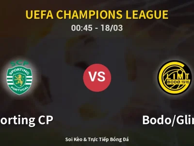 Kết Quả: Sporting CP 5-0 Bodo/Glimt – Highlight & Bàn Thắng | UEFA Champions League