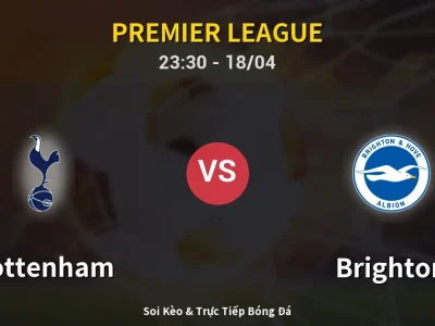 Soi Kèo Tottenham vs Brighton – 23:30 18/04 | Nhận Định, Dự Đoán Tỷ Số