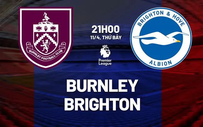 Dự đoán tỷ số Burnley vs Brighton Premier League Dự đoán tỷ số Burnley vs Brighton Premier League